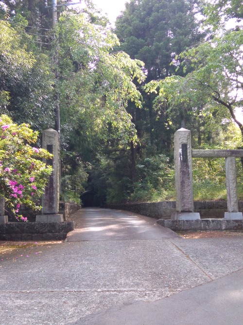 IMG_20200512_154122_BEAUTY