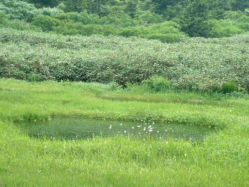 DSCF0046