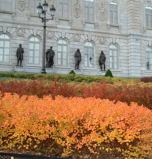 2005_1020첽ٻΥե०0019