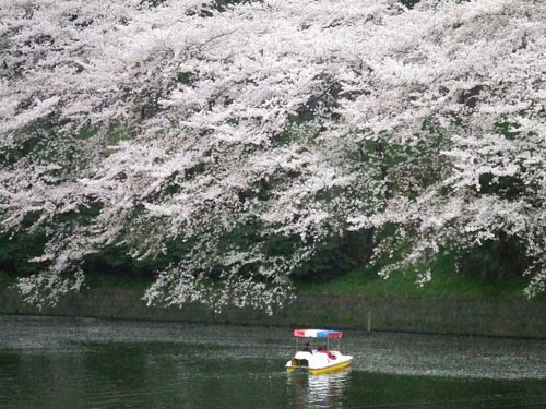 2008_0402H19��0108