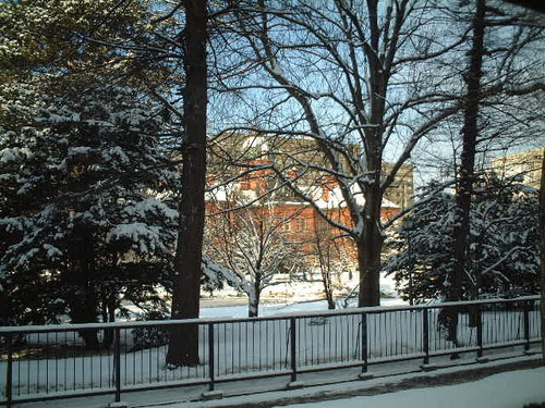 DSCF0046