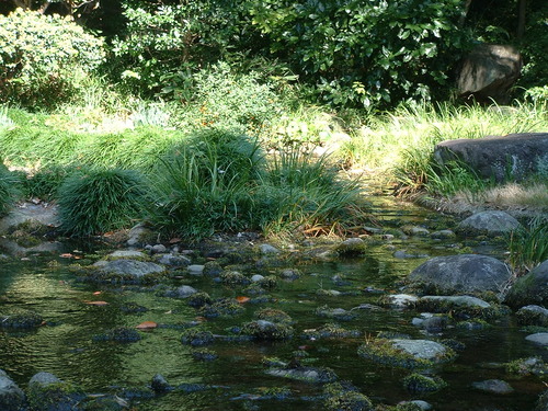 2007_1004¾®Åĸ¶ÈͶ£²0028