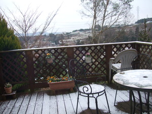 2012_0117����0008