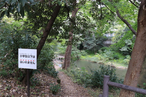 IMG_8864(1)