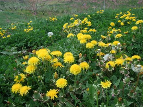 2007_0509¿®½£0127