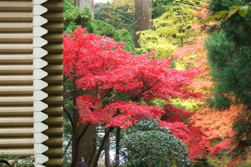 2007_1202¹ä»Ë¾»»Òº§Ìó0115