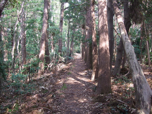 2011_1011¾ÅÆîÊ¿0031