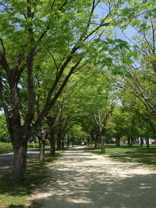 2008_0423熊本0076