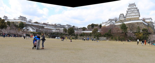 IMG_4875_stitch(1)