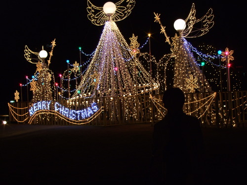 2007_1211�ǥ��ˡ�����0104