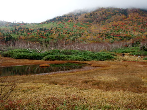 2007_1017��������0178