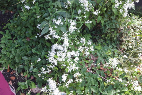 DSCF7820�����