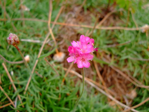 2007_0924��ʸ����������0118