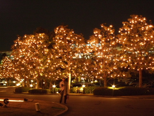 2007_1211�ǥ��ˡ�����0102