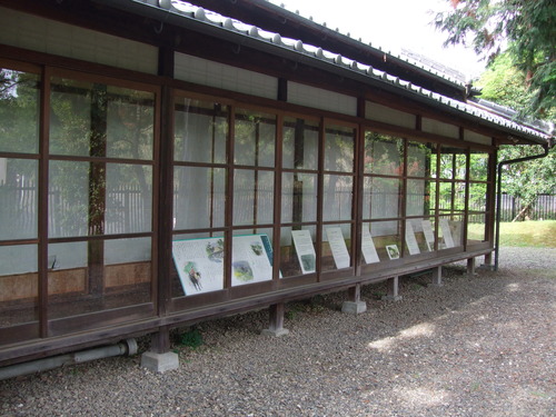 2008_0423熊本0042