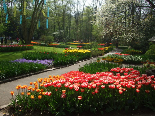 2007_0417オランダ0613