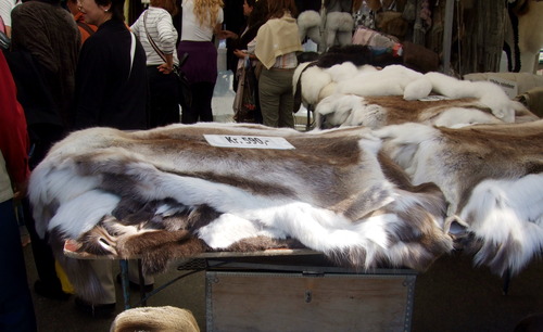 2009_0807北欧FINEPIX0277