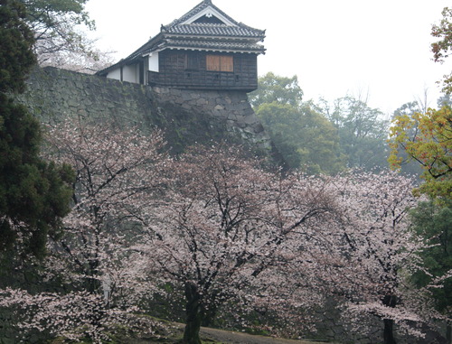 IMG_2621修正