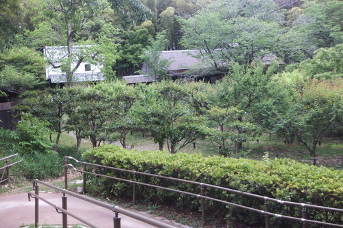 DSCF8292