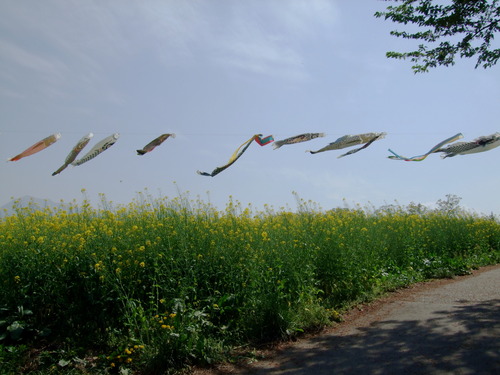 2007_0509¿®½£0135