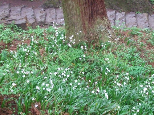 2007_0509¿®½£0037