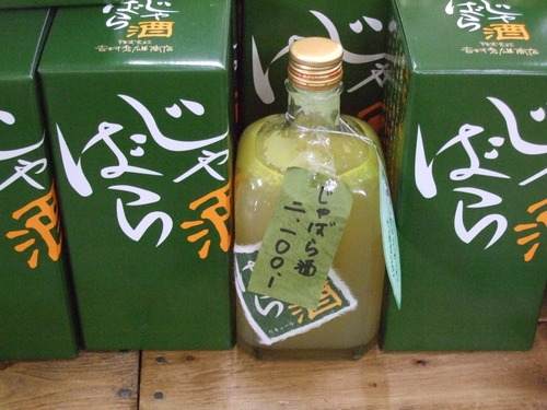 2010_0928南紀0061