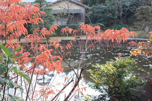 ���ĸ����Ķ� (109)