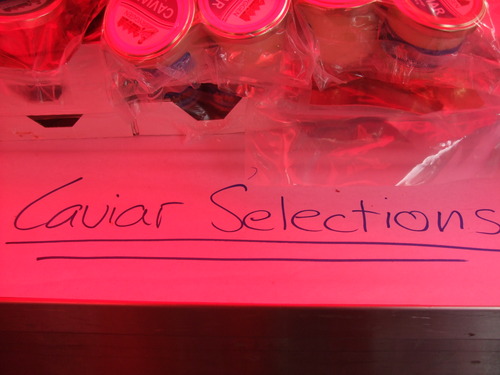 2009_0807北欧FINEPIX0282