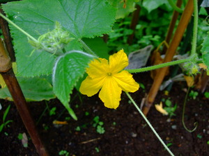 2011_0623���奦��0008