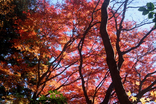 IMG_1891����