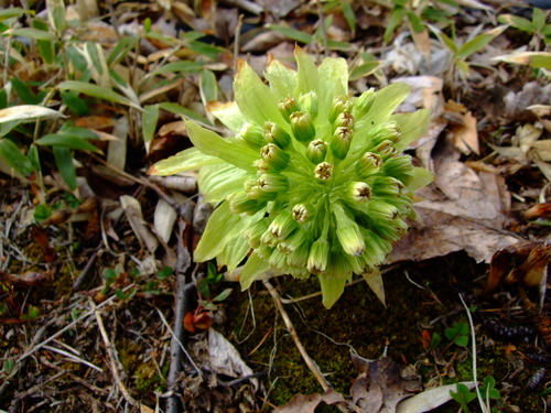 2007_0509¿®½£0098