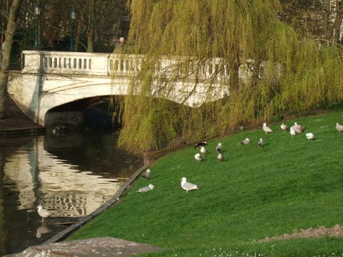 2007_0417オランダ0295