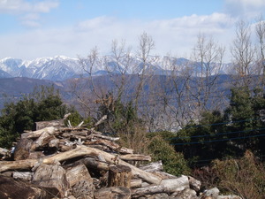 2012_0218��ƻ����0024