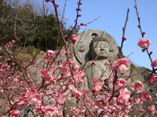 2008_0218南房総0038