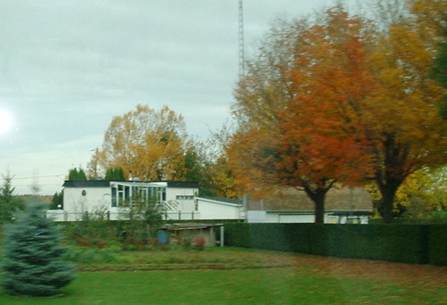 2005_1020첽ٻΥե०0014