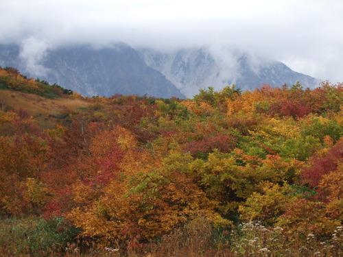 2007_1017��������0052