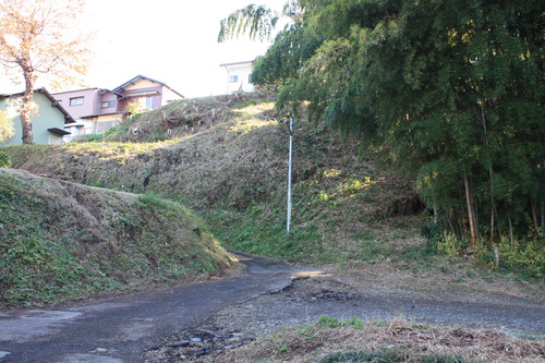 ���ĸ����Ķ� (22)