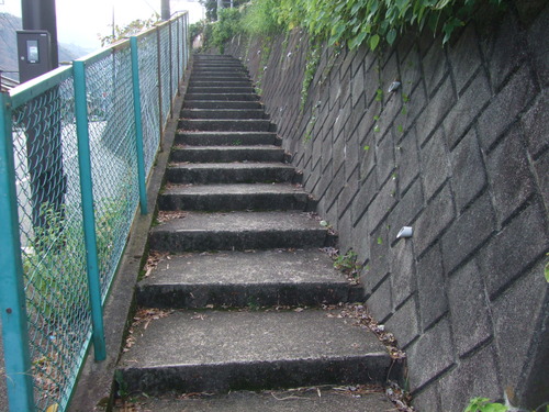 2011_1116³ûµÜ¡ÁÅòËÜ0202