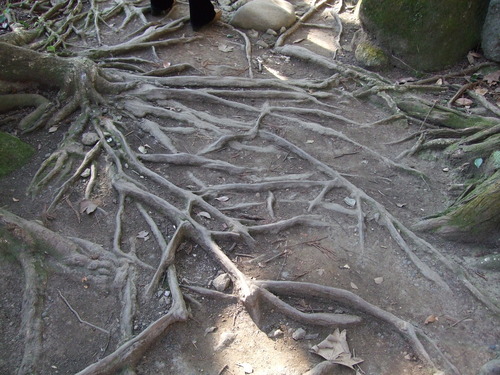 2008_0218南房総0033