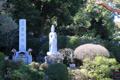 IMG_1003(1)