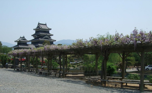 2007_0509¿®½£0217-1