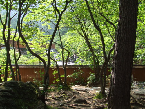 2006_0808�򺬻�0061