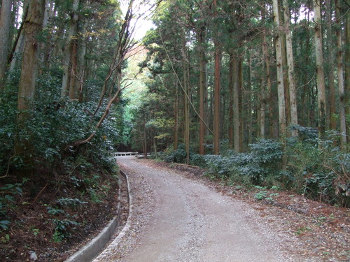 2007_1202¹ä»Ë¾»»Òº§Ìó0022