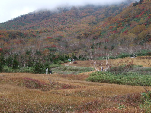 2007_1017��������0154