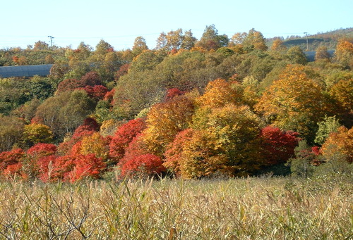DSCF0026