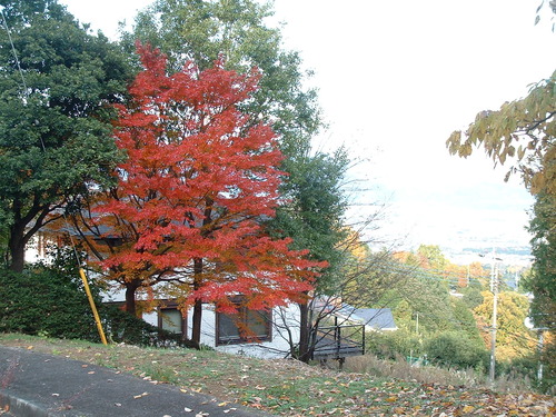 2007_1202Ƴλºµ¢¤êGH0009