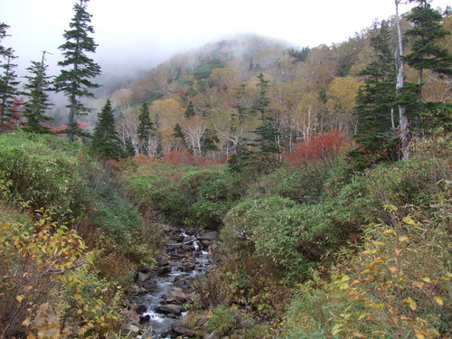 2007_1017��������0126