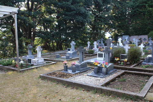 ���ĸ����Ķ� (89)