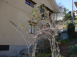 2010_0118�Ĥ�Х�������0003