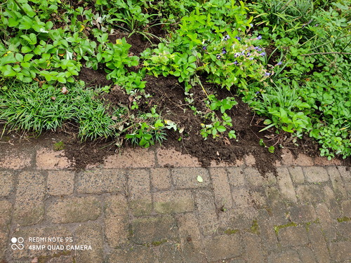 IMG_20201011_103213(1)(1)